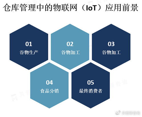 物聯(lián)網(wǎng)技術(shù)驅(qū)動(dòng)下的現(xiàn)代倉(cāng)庫(kù)管理 市場(chǎng)概覽與網(wǎng)絡(luò)技術(shù)咨詢服務(wù)