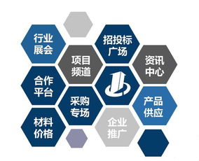 建設(shè)工程行業(yè)招投標(biāo)綜合信息門(mén)戶與網(wǎng)絡(luò)技術(shù)咨詢服務(wù)發(fā)展探析