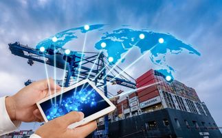 進口日用品關稅調整下的通關便利化 海關編碼查詢與網絡技術咨詢服務