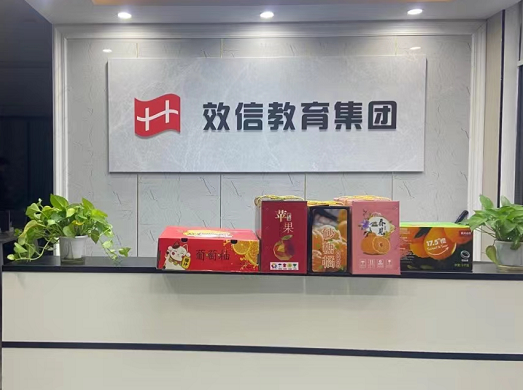 武漢效信教育咨詢(xún) 為您的夢(mèng)想保駕護(hù)航